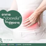 อาการปวดหลังในผู้สูงอายุ
เป็นอาการที่เกิดขึ้นได้ตามวัย เช่น กระดูกสันหลังเสื่อ…