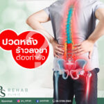 ปวดหลัง เป็นหนึ่งในอาการปวดยอดนิดยมในปัจจุบันของคนวัยทำงาน แต่บางคนจะมีอาการปว…