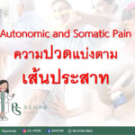 แบ่งตามลักษณะของเส้นประสาทที่นำความรู้สึก ได้แก่
1. Autonomic pain คือ ความปวดข…