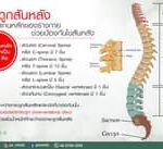 แกนหลักของร่างกาย
ป้องกันเส้นประสาทและไขสันหลัง
รับนัำหนักของร่างกาย
เป็นหนั…