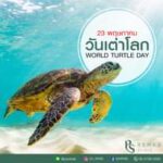 23 พฤษภาคม
วันเต่าโลก
PS Rehab Clinic
Relax, Comfort, and Promote Well-Being…