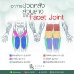 ก่อนหน้านี้เราได้รู้เกี่ยวกับอาการป้วดร้าวจาก
Facet Joint บริเวณคอไปแล้ว
วันนี…