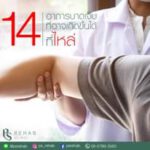 ไหล่
เป็นส่วนของร่างกายที่มีความซับซ้อน เคลื่อนไหวได้หลายทิศทาง
มีกระดูก กล้า…