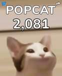 #popcat ประเทศไทยขึ้นที่ 1 แล้วนะครับ
ระวังนิ๊วล็อกกันด้วยนะแอดมิน เป็นห่วง
…